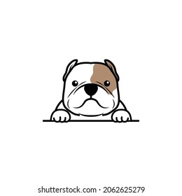 Cute american bully dog cartoon, vector illustration