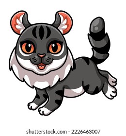 Cute American curl cat cartoon 
