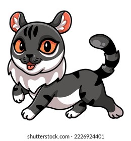 Cute American curl cat cartoon
