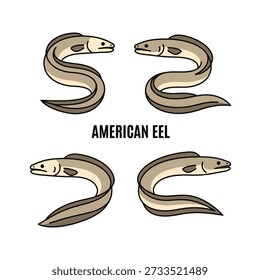 Cute American Eel Animal Vector Illustrations