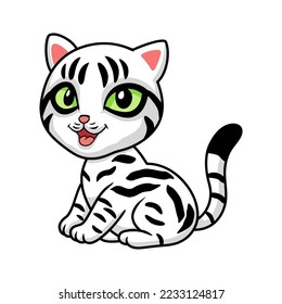 Cute american short hair cat cartoon sitting