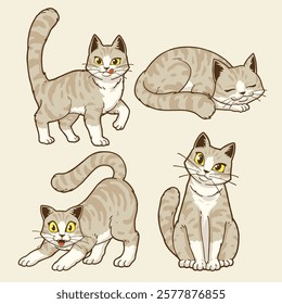 cute american shorthair cats character illustration for tshirt design, logo, or stickers