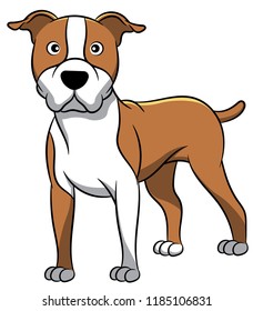 Cute American Staffordshire Cartoon Dog. Vector illustration of purebred american staffordshire dog.