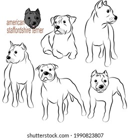 Cute American staffordshire dogs doodles. Hand dibujó ilustración vectorial en el fondo blanco.