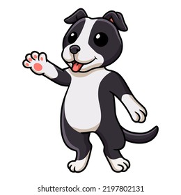 Cute american staffordshire terrier dog cartoon 
