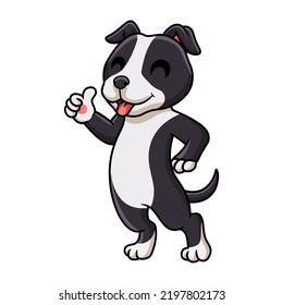 Cute american staffordshire terrier dog cartoon giving thumb up