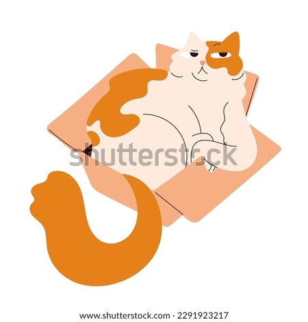 Cute amusing cat lying inside box. Funny fat kitty relaxing in cardboard. Adorable plump chubby fluffy feline animal, pussycat resting. Flat vector illustration isolated on white background
