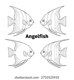 Cute Angelfish Animal Vector Illustrations