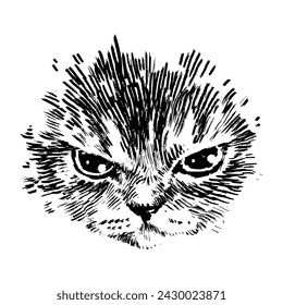 Cute Angry Cat Face, Hand drawn illustration vector