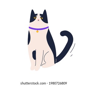 Cute angry cat sitting with frowning face expression. Portrait of funny unimpressed kitty. Adorable dissatisfied kitten. Colored flat vector illustration of sweet pet isolated on white background