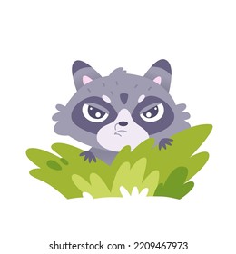 Cute Angry Raccoon Sitting In Green Bushes Vector Illustration. Cartoon Isolated Funny Racoon Character Hiding In Summer Grass Meadow Landscape, Adorable Furious Wild Animal With Amusing Face