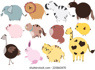 cute animal