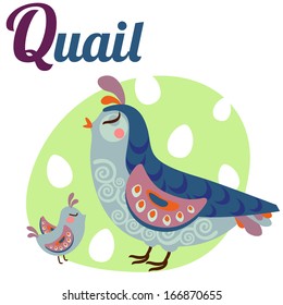 Cute animal alphabet for ABC book. Vector illustration of cartoon quail. Q letter for the Quail