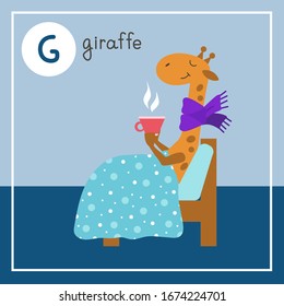 Cute animal alphabet for ABC book. Vector illustration of cartoon animals. The letter G. Giraffe with a cold throat is sick in bed and drinks hot tea
