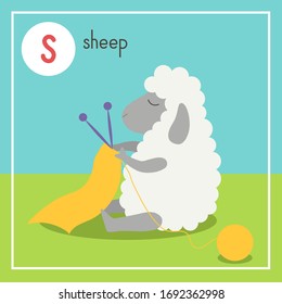 Cute animal alphabet for ABC book. Vector illustration of cartoon animals. Cute fluffy sheep in the meadow knits a scarf. Vector illustration