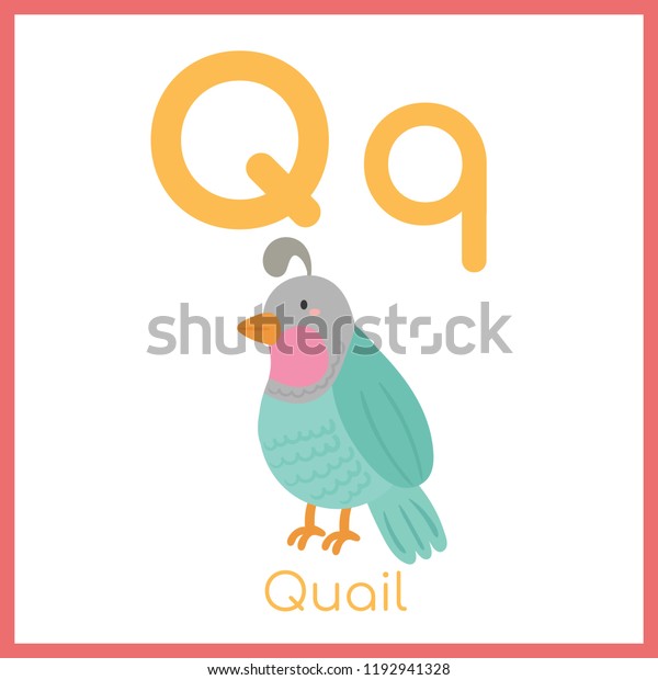 Cute Animal Alphabet Q Letter Cute Stock Vector (Royalty Free) 1192941328