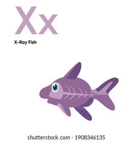 Cute Animal Alphabet Series A-Z. Vector ABC. Letter Xx. X-Ray Fish. Cartoon ocean animals alphabet for kids. Isolated vector icons illustration. Education, children prints, decor, cards, books