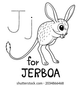 Cute Animal Alphabet Series J is for jerboa for kids. Vector cartoon character design illustration.