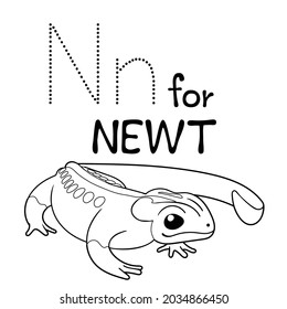 Cute Animal Alphabet Series N is for newt for kids. Vector cartoon character design illustration.