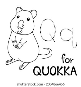 Cute Animal Alphabet Series Q is for quokka for kids. Vector cartoon character design illustration.