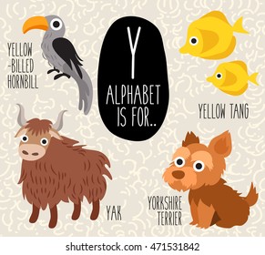 Cute Animal Alphabet Set : Letter Y : Vector Illustration