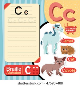 Cute animal alphabet vector. C letter. Vocabulary: Camel, Cat, Coyote. With exercise tracing alphabet and braille alphabet english education, design for practice english, children, student and teacher