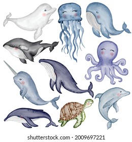 cute animal aquatic watercolor illustration