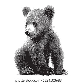 Знак медведя и меда - стоковое векторное изображение