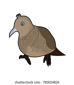 cute animal brown feather bird dove cartoon vector illustration
