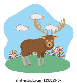 cute animal cartoon