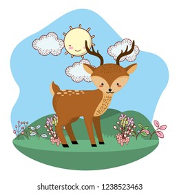 cute animal cartoon