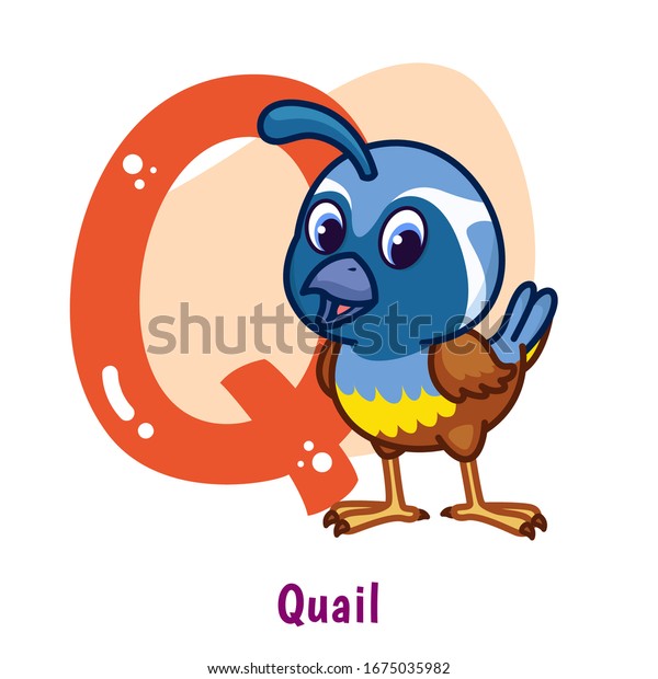 Cute Animal Cartoon Alphabet Letter Q Stock Vector (Royalty Free ...