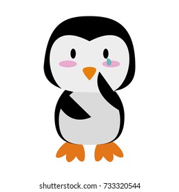 cute animal cartoon icon image 