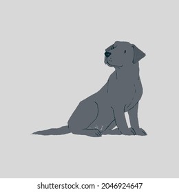 cute animal cartoon illustration design. cute animal art for baby. animal art for background poster and card