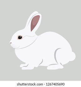 Cute animal character