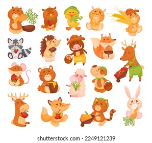 Cute Animal Character in Farm Harvesting Big Vectorset