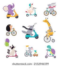 Cute Animal Character Riding Bike And Scooter Vector Set