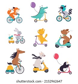 Cute Animal Character Riding Bike   Scooter Vector Set
