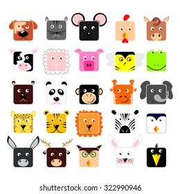 Recolección de animales en cuclita