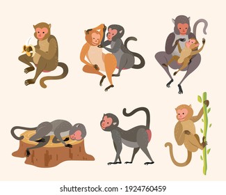 Cute animal collection of Taiwanese macaque or Formosan rock monkeys. Element in hand drawn or doodle design, isolated on white background.