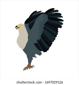 Cute animal eagle clip art bird illustration cartoon character