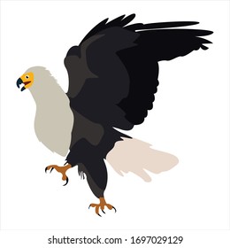 Cute animal eagle clip art bird illustration cartoon character