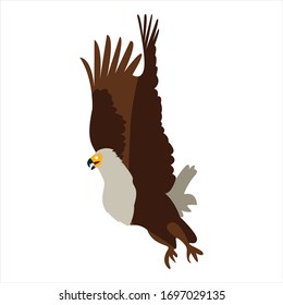 Cute animal eagle clip art bird illustration cartoon character