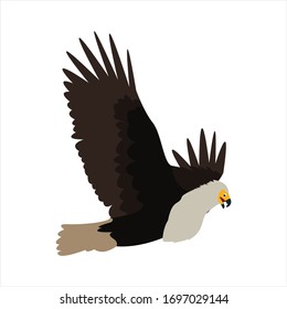 Cute animal eagle clip art bird illustration cartoon character