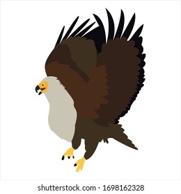 Cute animal eagle clip art bird illustration cartoon character