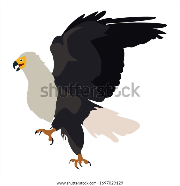 Cute Animal Eagle Clip Art Bird Stock Vector (Royalty Free) 1697029129 ...