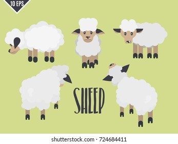 cute animal flat sheep collection vector illustration