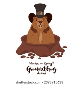 Cute animal groundhog character looks out of hole. Holiday cool card Groundhog Day. February 2. Vector illustration