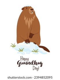 Cute animal groundhog standing in snow. Holiday card Happy Groundhog Day. February 2. Vector illustration