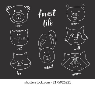 Cute Animal heads. Cartoon forest wildlife animals collection, fox, wolf, bear, beaver, raccoon, rabbit and wild cat. Vector illustration.